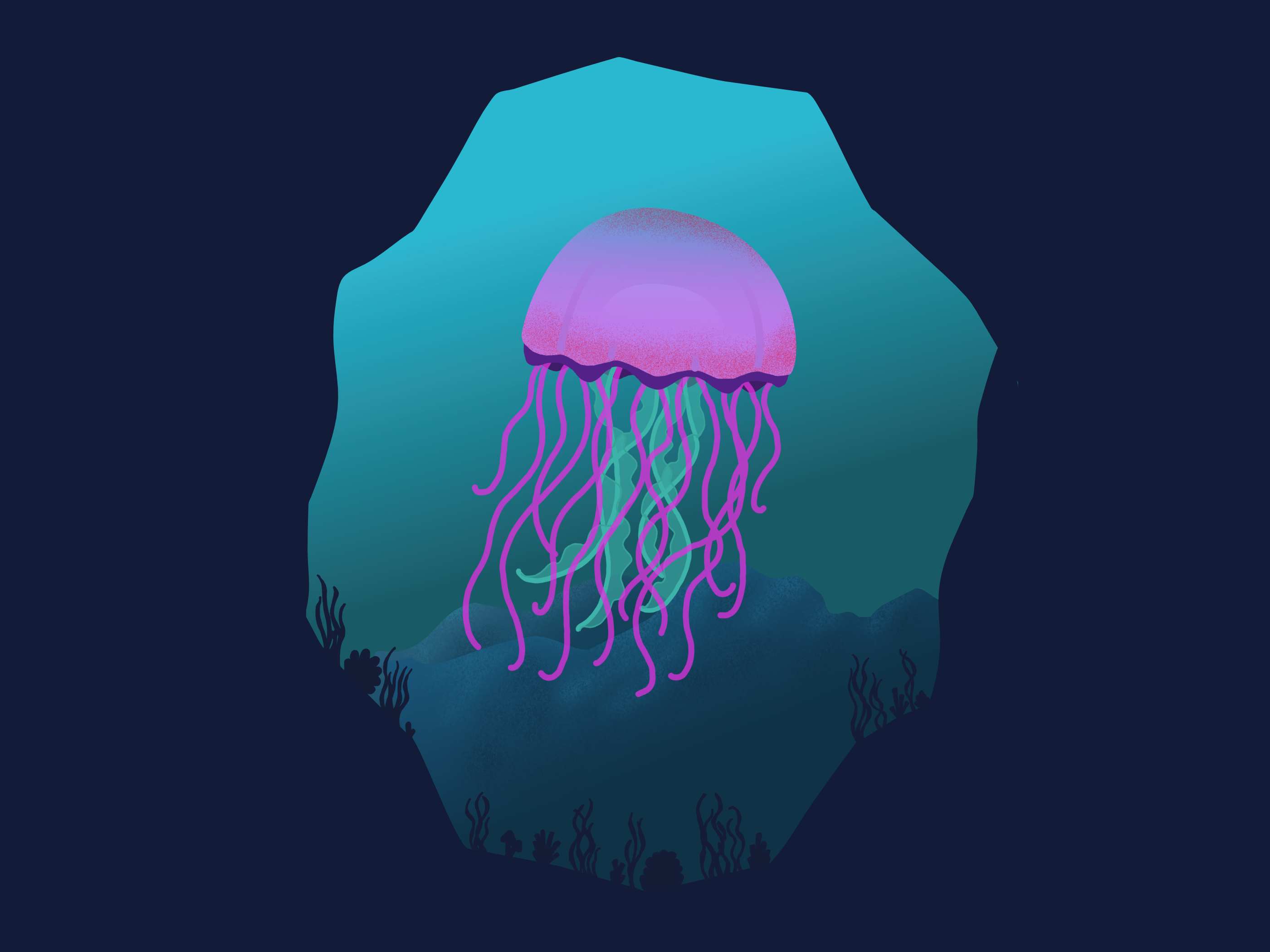 A Pretty Jellyfish
